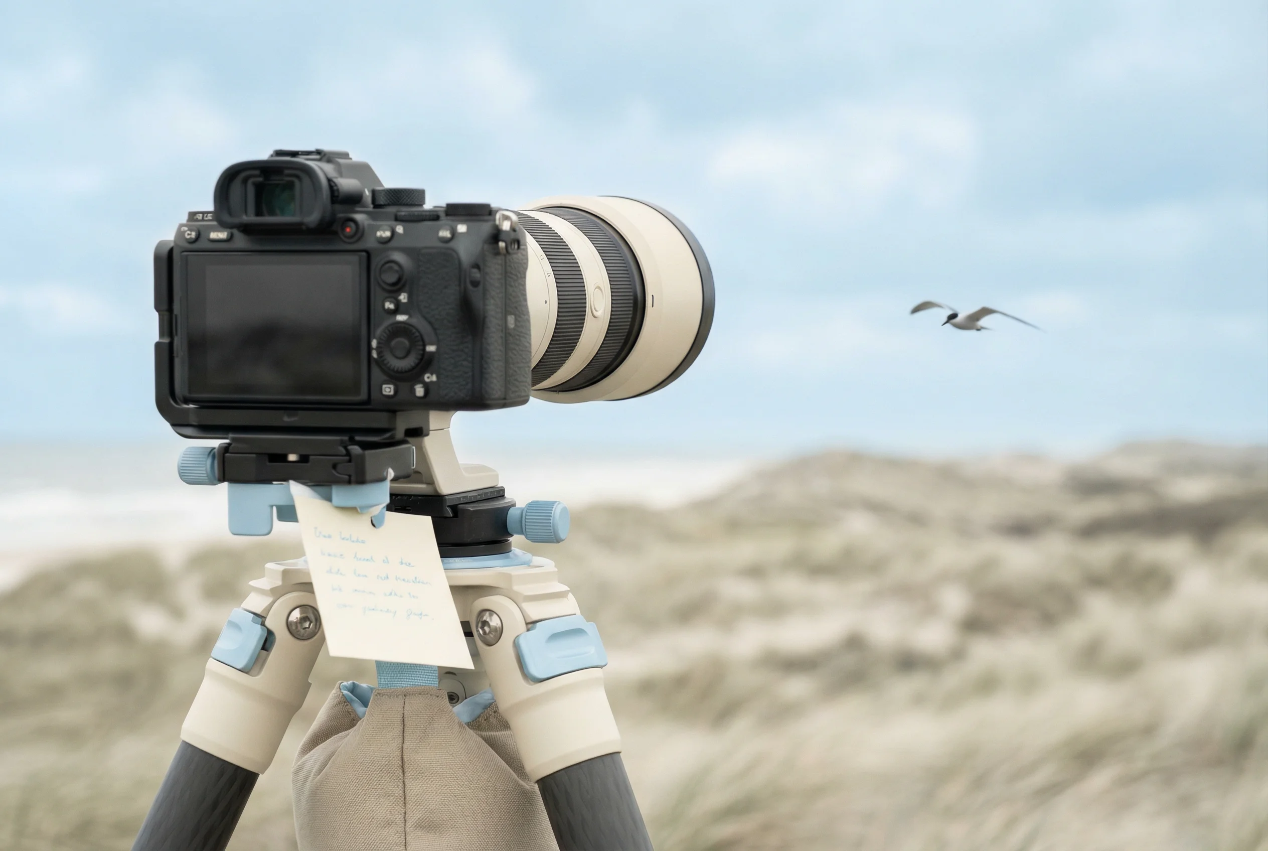 Стабильность кадра: выдержка, опора камеры, резкость, 1200x800